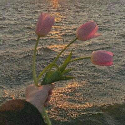 打鱼下载手机app下载截图